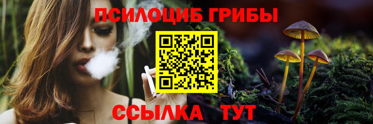 Псилоцибиновые грибы Cubensis Сатка